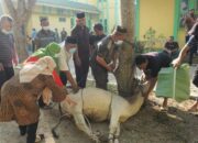 Ketua DPRD Sergai: Berqurban Bentuk Rasa Syukur Kepada Allah SWT