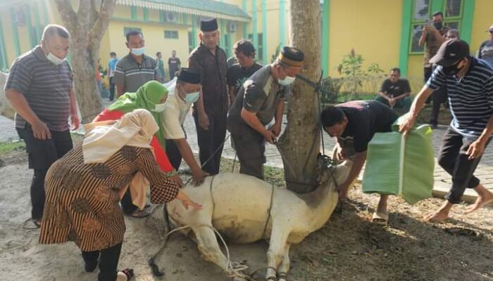 Ketua DPRD Sergai: Berqurban Bentuk Rasa Syukur Kepada Allah SWT