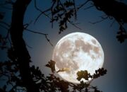 Bulan Telanjang