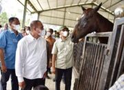 Tinjau Lokasi Gubsu Pastikan Cabor Berkuda dan Voli Pantai PON 2024 Di Sergai