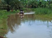 Kembali Banjir, Pemerintah …! Masyarakat Desa Panglima Sahman Mohon Solusi