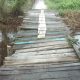 Jembatan Warga Dusun XV, Desa Sei Dua Hulu, Tidak Layak Dilalui