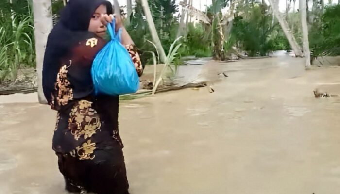 Banjir Di Muara Batang Angkola Belum Masuk Darurat Bencana