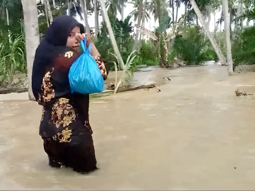 Banjir dari luapan Sungai Batang Gadis