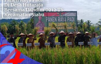 panen raya di desa hutaraja