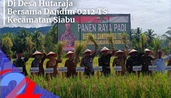 Dandim 0212 TS Hadiri Panen Raya Di Desa Hutaraja Siabu