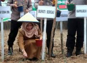 Pemkab Sergai Dukung Program Pusat Penanaman Jagung 1 Juta Hektar