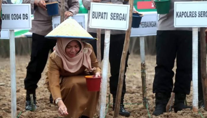 Pemkab Sergai Dukung Program Pusat Penanaman Jagung 1 Juta Hektar