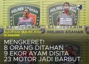 Polres Asahan Gerebek Arena Sabung Ayam, 8 Pria Diamankan