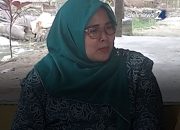 Ketua TP PKK Kecamatan Panyabungan Utara Gelar Rapat Bersama PKK Desa