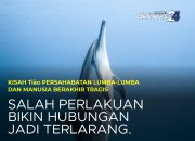 Kisah Tragis Tião: Ketika Persahabatan Manusia dan Lumba-Lumba Berakhir Mematikan