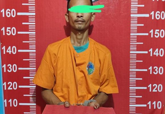Polres Madina Tangkap Kurir Sabu di Desa Huta Bangun
