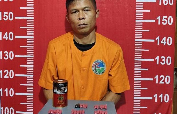 Polres Madina Ungkap Peredaran Ganja, Residivis Kotasiantar Jadi Kurir
