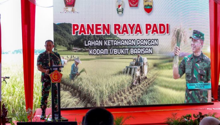 Panen Raya Padi di Deli Serdang: Panglima TNI dan Seluruh Stakeholder Dukung Program Ketahanan Pangan Nasional