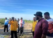 Tanjungbalai Wujudkan Asta Cita Prabowo: 15 Ha Lahan Eks PT Delimas Disiapkan untuk Swasembada Pangan