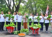 Ketua TP PKK Simalungun Panen Sayuran Organik