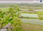 Mengenal Desa Rejoagung, Potensi Desa Meningkat Setelah Program Penataan Akses Reforma Agraria