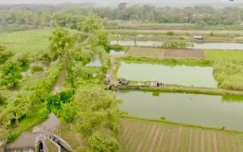 Mengenal Desa Rejoagung, Potensi Desa Meningkat Setelah Program Penataan Akses Reforma Agraria