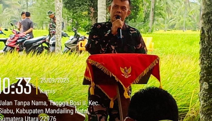 Kodim 0212/ TS Hadiri Panen Raya Di Desa Tangga Bosi
