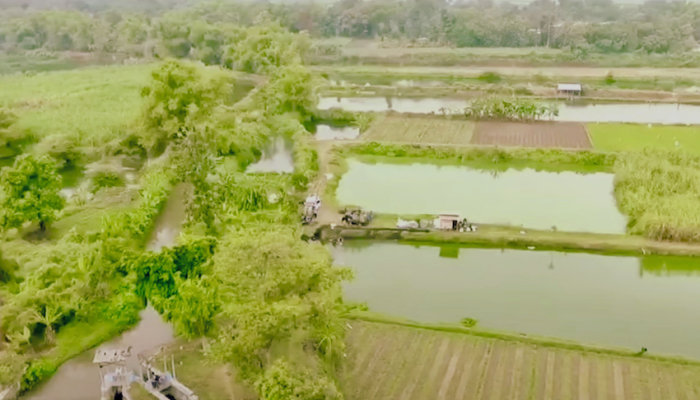 Mengenal Desa Rejoagung, Potensi Desa Meningkat Setelah Program Penataan Akses Reforma Agraria
