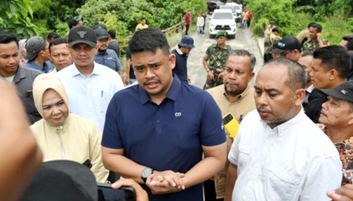 Pemprov Sumut Bangun Kembali Jembatan Penghubung Dua Surga Wisata Langkat