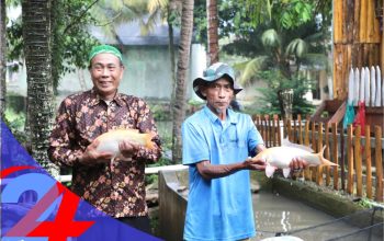 Kampung Reforma Agraria Desa Bandung Kembangkan Pembibitan dan Budidaya Ikan