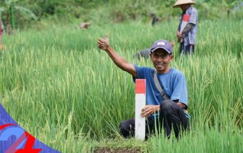 Mudik Lebaran, ATR/BPN Imbau Masyarakat Cek Patok Tanah untuk Hindari Sengketa