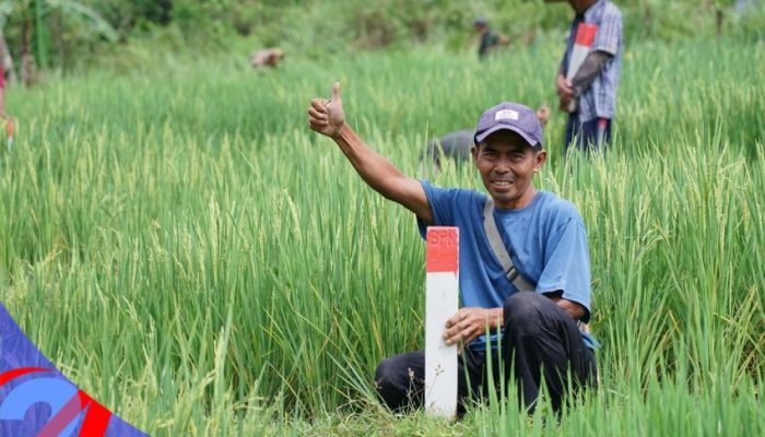Mudik Lebaran, ATR/BPN Imbau Masyarakat Cek Patok Tanah untuk Hindari Sengketa