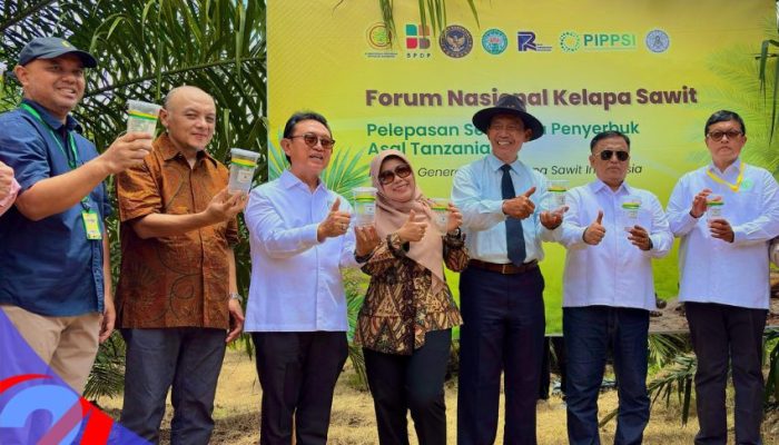Inovasi PTPN IV PalmCo: Uji Coba Serangga Tanzania untuk Dongkrak Produktivitas Sawit Nasional