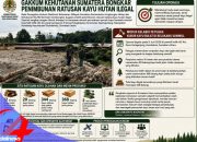 Modus Timbun Kayu di Dalam Tanah, Gakkum LHK Bongkar Sawmill Ilegal di Humbahas