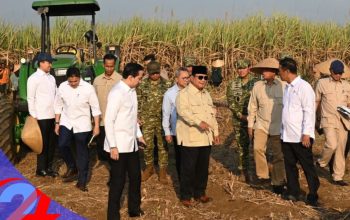 Kementerian ATR/BPN Berkomitmen Jaga Lahan Produktif demi Fondasi Swasembada Pangan