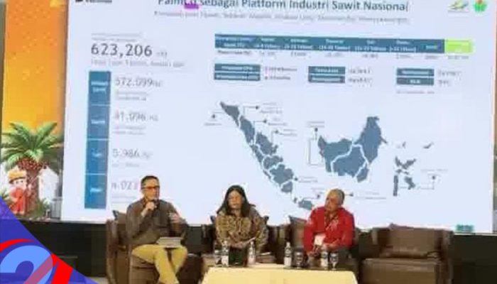 PTPN IV PalmCo Bidik Potensi Tambahan 8,9 Juta Ton CPO Lewat Kemitraan Sawit Rakyat