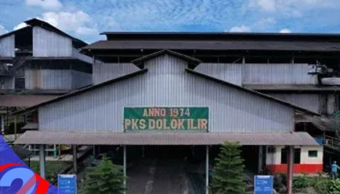 PTPN IV Regional 2 Pastikan Kondisi PKS Dolok Ilir Kembali Normal Pasca-Insiden Kebakaran