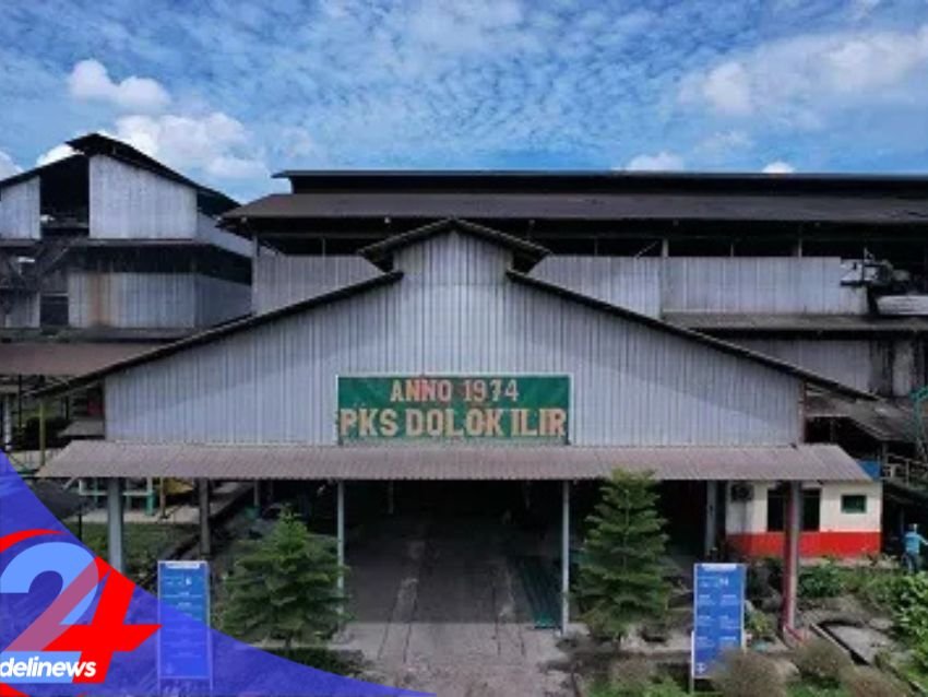 PTPN IV Regional 2 Pastikan Kondisi PKS Dolok Ilir Kembali Normal Pasca-Insiden Kebakaran