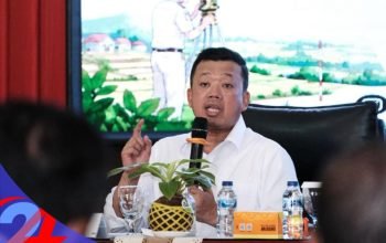 Menteri ATR Puji Capaian LP2B Lampaui Target 2029, 13% Lahan Sawah di Luar Kawasan Tetap Dibatasi