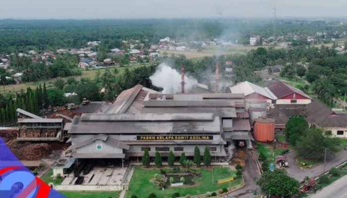 Perkuat Tata Kelola dan Standar Global, PTPN IV PalmCo Akselerasi Sertifikasi Ratusan Kebun dan PKS