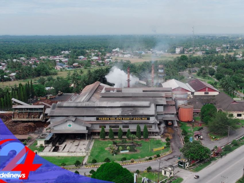 Perkuat Tata Kelola dan Standar Global, PTPN IV PalmCo Akselerasi Sertifikasi Ratusan Kebun dan PKS
