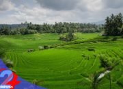 LP2B Nasional Capai 87,63%, Lampaui Target RPJMN 2029