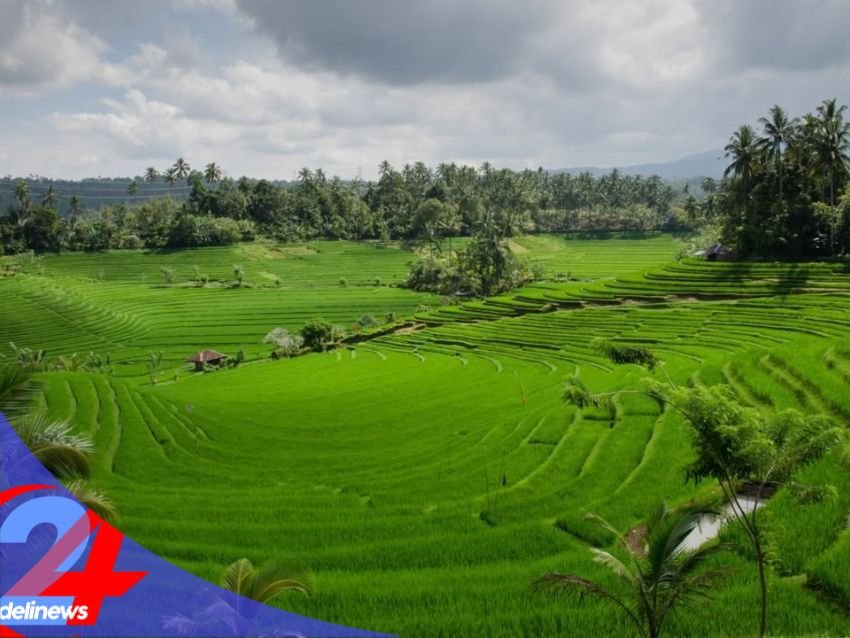 LP2B Nasional Capai 87,63%, Lampaui Target RPJMN 2029