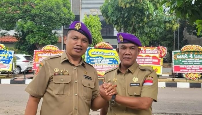 Resmi Dilantik Jadi Pengurus DPN IARMI, M.Ismael P Sinaga Tekankan Peran Strategis Alumni Menwa untuk Bela Negara