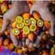 PTPN IV PalmCo Akselerasi Sertifikasi Keberlanjutan, Premium Price Tumbuh Pesat