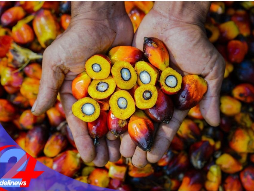 PTPN IV PalmCo Akselerasi Sertifikasi Keberlanjutan, Premium Price Tumbuh Pesat