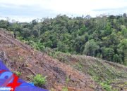 UU Reforma Agraria Buka Jalan Pemulihan Hak Masyarakat atas Tanah